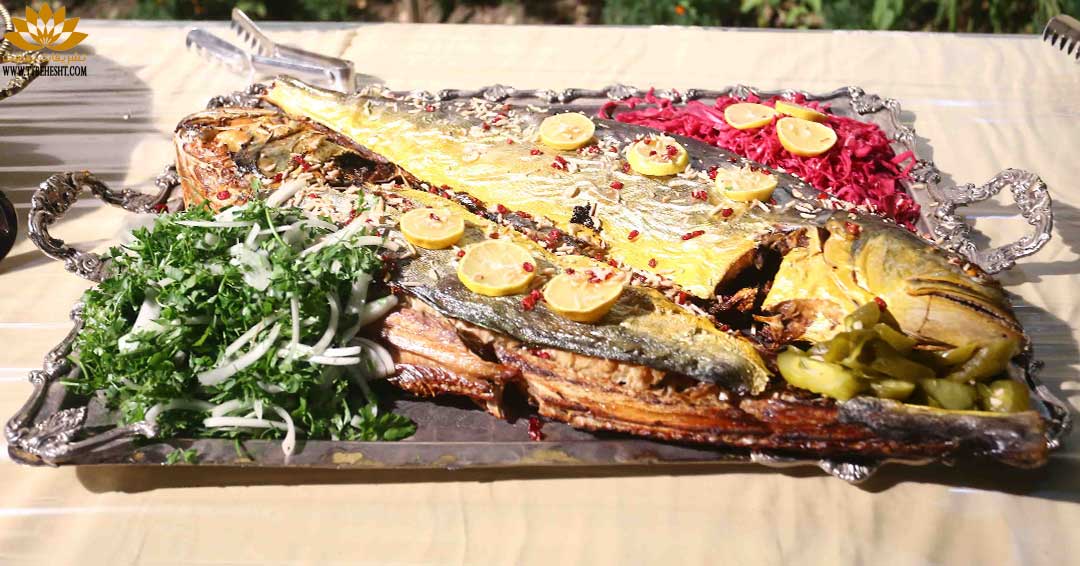 خدمات مجالس مهمانی